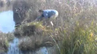 индейци mpeg2video