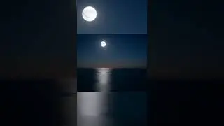 Ocean Wave Sounds for Sleep 🌊  Fall Asleep Fast