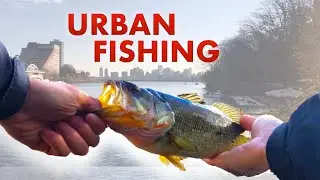 FISHING the CHARLES RIVER in BOSTON for Bass (Tough late fall bite)