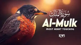 Surah Al Mulk سورة الملك | Ultimate Calm & Deep Sleep Protection with Lofi Quran | #surahmulk