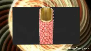 Anthony David Swarovski Crystal Cigarette Lighter Cases Holders