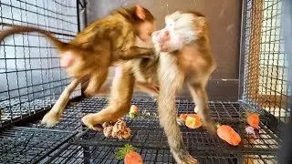 Люська НЕМНОГО В ШОКЕ! Анфиса делает с ней ВСЕ, ЧТО ЗАХОЧЕТ! 