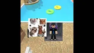 POV mm2 be like when you are murder. #funny