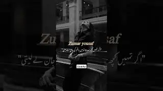 Fairs Ghazi and Zumar Yousaf | Namal Novel  #nimrahahmednovel  #novel #nimraahmad #globifar