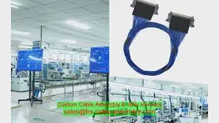 Manufacturer 50ohm 180 Degree BNC Male Plug Connector Clamp Type for Rg-58 RG6 Lmr240 Radio Antennas