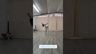 Pole Combo Pirouette to Reverse Attitude Spin, Diamond, Pull Up, Scissors, Dolfin, Waterfall, Iguana