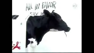 (REUPLOAD) Between the Lions Funding Credits (2005)