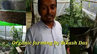 Organic Farming by Bikash Das