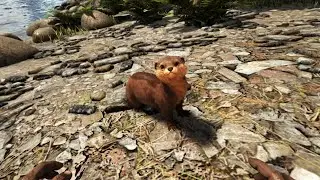 *ARK* Otters Spawn Location Ragnarok