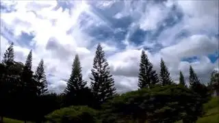 Testing Out My X4R 220 With Sunnysky Edge Racing motors 2205 2480KV
