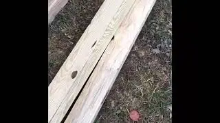 Building seed starting shelves for the Greenhouse, | Vlog |
