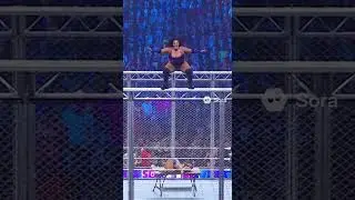 &ldquo;OH MY GOD! SHE&rsquo;S GONNA FLY! FROM THE TOP OF THE CAGE!!!&rdquo; 🎙️🔥 #WWE #WrestlingLegends #Unbelievable