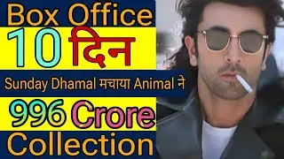 Animal Box Office collection | Animal Day 10 | Animal Collection