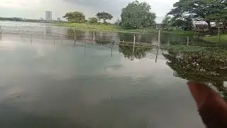 Fishing in flooded spots, catch lots of fish