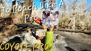 Coyote Camping - How To - #ASMR 