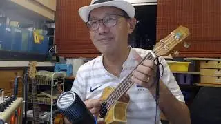 爱的礼物 ((烏克麗麗) AI DE LI WU (UKULELE)