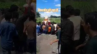 विसर्जन हो रहा हैं  immersion is taking place