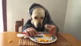Mensch mit Hundekopf