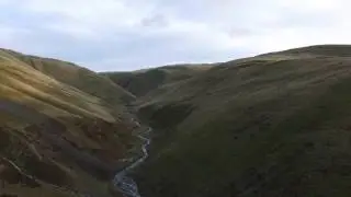 Dynamic landscapes