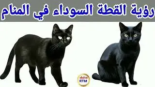 ررؤية القطة السوداء في المنام  //  حلم رؤية قطة سوداء في المنام