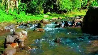Tranquil River Sound &ndash; Natural Therapy for Sleep and Emotional Healing