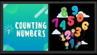 Learn Numbers with Pictures | Counting Numbers | Number Flashcards | Toddler Learning