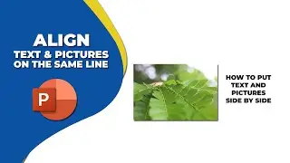 How to align text and pictures on the same line in PowerPoint