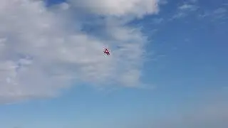 FMS PITTS V2