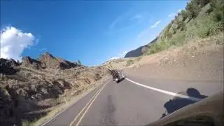 Motorbiking Oregon's Ochocho & Sumpter Stage Hiways June 2015