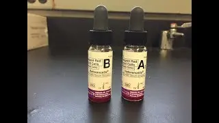 [Reliance.Video] Sterile ABO/Rh Reagents Filling Machine Clinical Diagnostics Dropper bottle filler