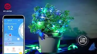 Christmas Tree Decoration Bulb LED Module USB Power 5V | 5m #christmas2021 #shorts