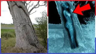 10 Ongelofelijke Archeologische Ontdekkingen