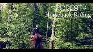 Horse Riding | Nature Scenic View | Cinematic Video