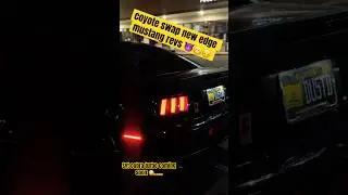 🐺 COYOTE SWAP MUSIC 😈 #ford #mustang #sportscar #cars #automobile #fast #mustangclub #musclecar