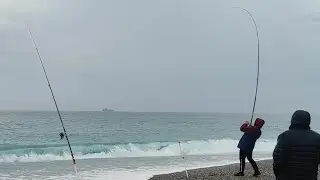 PESCA A FONDO| la Cordella si fa rispettare con un BIG di stagione...