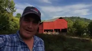 Tour the family dairy...
