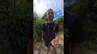 Lost in the trek 