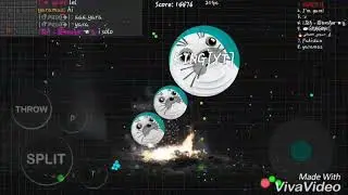 POPSPLIT KING