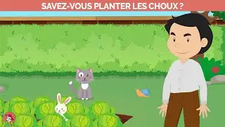 Le Monde d'Hugo - Savez-vous planter les choux ?