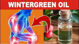 6 Amazing Health Benefits of  WINTERGREEN Oil You do not know