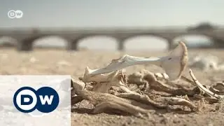 Somalia: Living with drought | Global 3000
