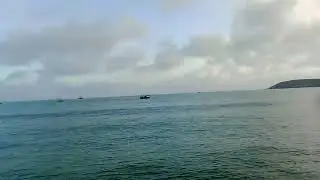 Must be lots of Pilchards/ Cornish sardines out in Mounts Bay at the moment. 31 Jan 2026 16:55