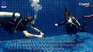 How to Do the Five Point Ascent without Bottom Contact 🥽 PADI IDC Dive Instructor Skills