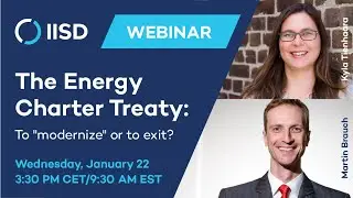 The Energy Charter Treaty: To 