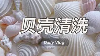 贝壳清洗 完了完了，严重发白钙化的贝壳，洗还是不洗？如果喜欢白色的话就别用草酸洗了用84消毒，如果必须恢复原色肯定会有部分牺牲的#快来围观 #捡贝壳#解压视频 #清洗贝壳