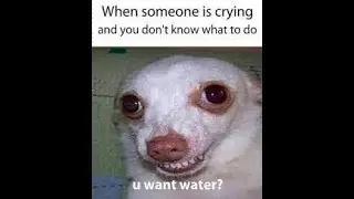 If you laugh, you restart 😂 | memes compilation pt.3 | #comedy  #memes #humor  #funny
