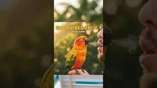 Pure Joy! My Sun Conure is Feeling Good 🥰 #parrot #shortsfeed #asmr