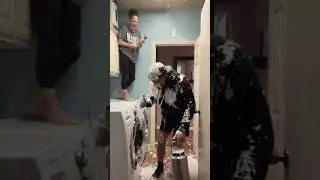 We all need a good fly swatter 🤭&hearts;️😂 #epic #buzz