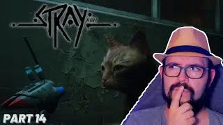 [Stray] Von der DiscoCat zum Knaststreuner [Part 14]