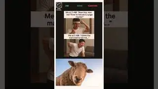 Yoga Meme #shorts #memes #funny #2025memes #funnymemes #jokes   #xd #subscribe #like #share #dailyXD
